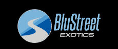 blustreetexoticcarrentals